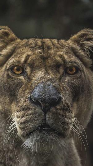 蜘蛛池能买吗截图1