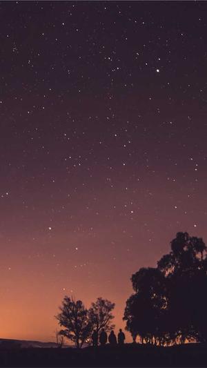 邵东网站建设截图1