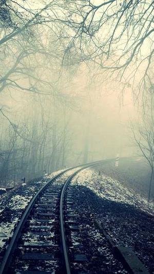 call泛目录程序截图1