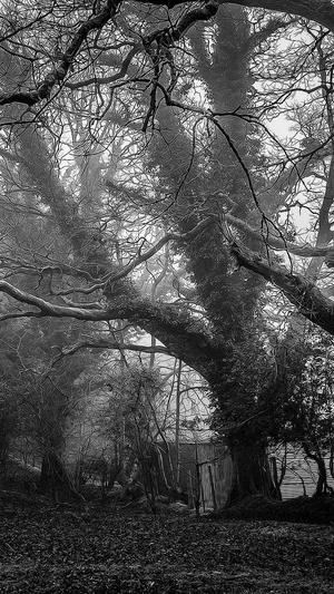 模拟点击工具seo截图4