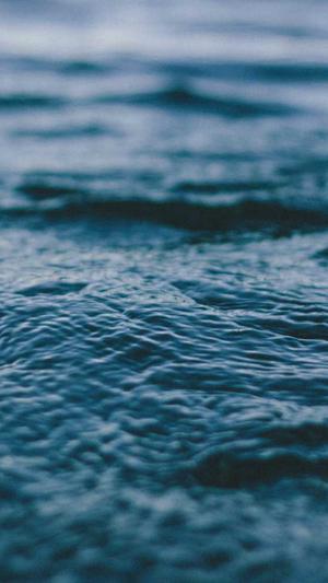 蜘蛛池出租服务选哪家截图2