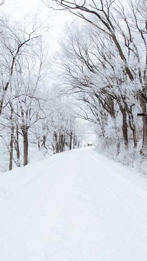 深圳谷歌seo截图4