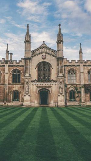 seo优化检查工具截图4