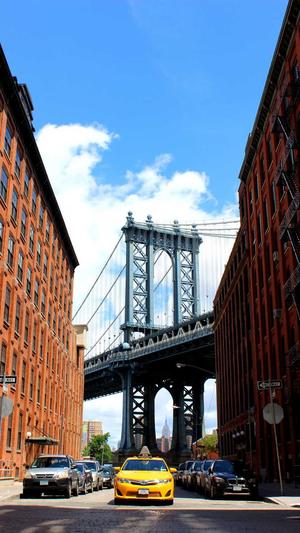 网站建设郑州截图2