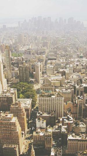 seo优化工具价格截图4