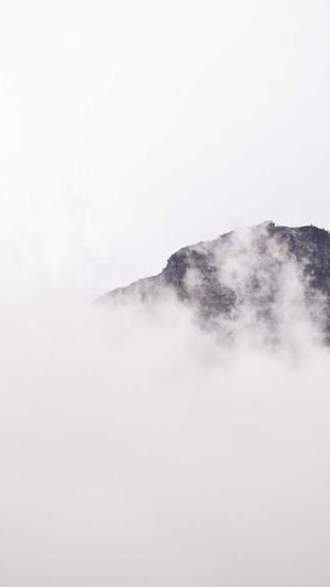 大庆网站建设截图4