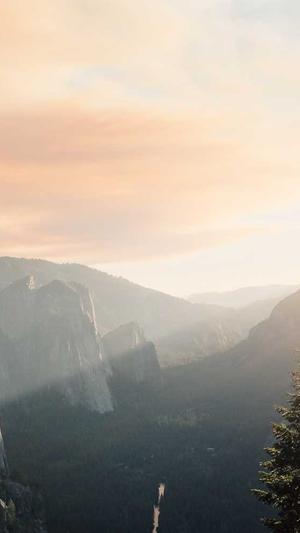 SEO辅助优化工具截图1