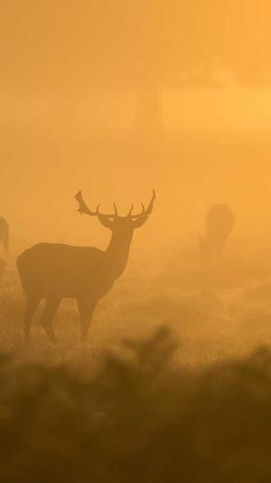 广东蜘蛛池租用包月截图4