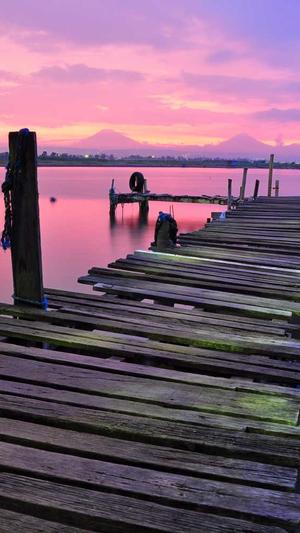 搜狗蜘蛛池程序打不开截图4