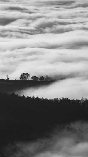 seo搜索优化截图2