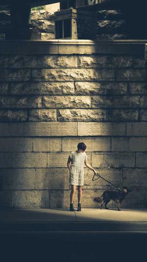 seo站长工具平台排名截图2